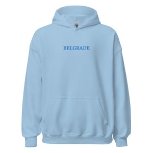 unisex-heavy-blend-hoodie-light-blue-front-671875493fbcf.jpg