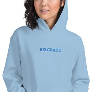 unisex-heavy-blend-hoodie-light-blue-zoomed-in-671875493f5ab.jpg